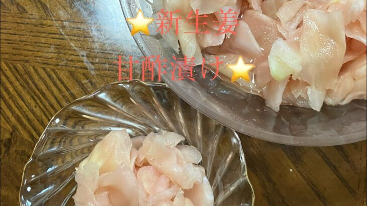 新生姜⭐️甘酢漬け⭐️#時短簡単節約レシピ