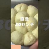 無水鍋でパンが焼ける✨　#パン #パン好き #節約 #bread #homemadebread