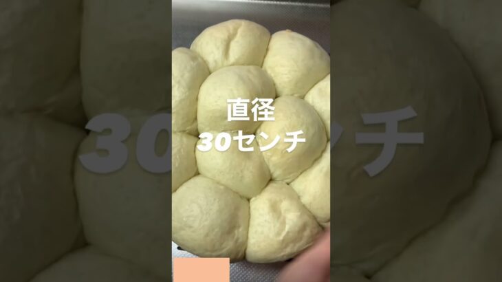 無水鍋でパンが焼ける✨　#パン #パン好き #節約 #bread #homemadebread