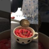 【トマポンそうめん】私の評価: ⭐️⭐️⭐️⭐️⭐️（5.0）「妻がいない土日ランチは、料理がだるい」