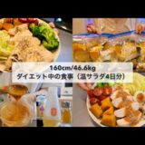 【-14kg達成!🔥】ダイエット中のリアル4日間の食事🍱｜野菜ストックで作るホットサラダ4日分🥗｜ドレッシングレシピ｜Healthy Salad Recipes For Weight Loss