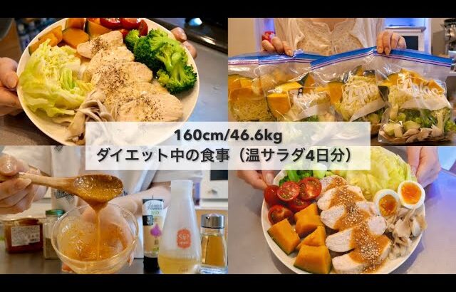 【-14kg達成!🔥】ダイエット中のリアル4日間の食事🍱｜野菜ストックで作るホットサラダ4日分🥗｜ドレッシングレシピ｜Healthy Salad Recipes For Weight Loss