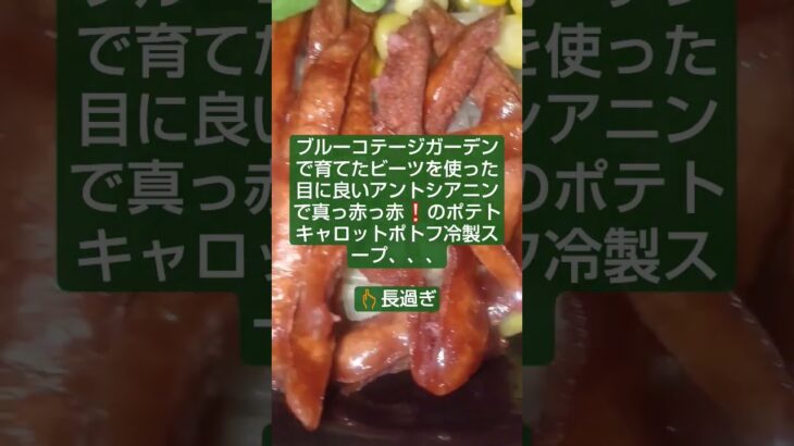 #時短 #料理 #自炊　「目に良いアントシアニンたっぷりビーツの真っ赤っ赤冷製スープ」と「名古屋風？？？冷やし中華」
