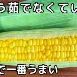 ゆでない・チンしない「とうもろこし」のおいしい火の通し方！皮をすべて剥かない意外な方法とは？