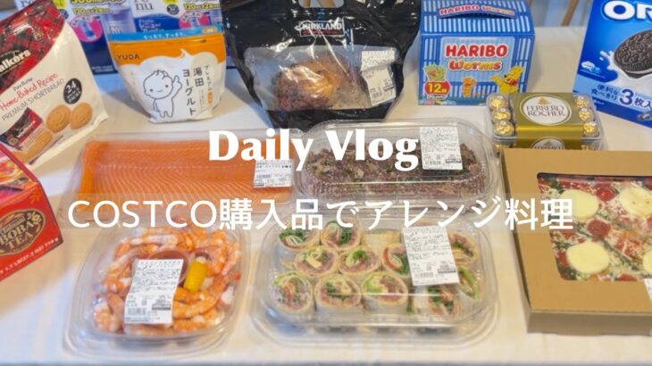 【コストコ】Daily Vlog | 人気商品で作る簡単コストコディナー | 特大サーモン食べ切りアレンジ料理 | Costco in Japan
