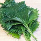 【大葉の簡単レシピ】切って和えるだけ。5分で完成副菜の作り方　火を使わないおいしいおかず。