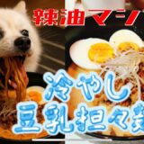 冷やし豆乳担々麺！思いつきで◯◯入れたら娘がガンガン辣油ぶち込み…辛いのか？！美味いのか？！衝撃の採点に‼️