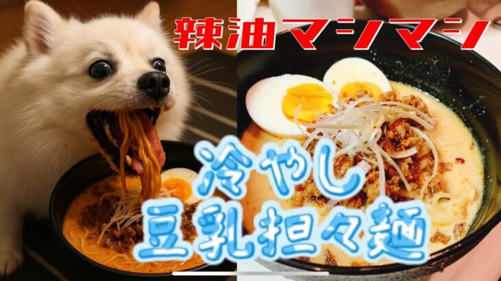 冷やし豆乳担々麺！思いつきで◯◯入れたら娘がガンガン辣油ぶち込み…辛いのか？！美味いのか？！衝撃の採点に‼️