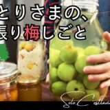 #006  おひとりさまの梅しごと｜少量×6種類！3kgでたっぷり楽しむ季節の保存食