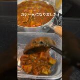#カレー　#料理　#自炊　#節約