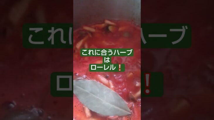 #時短 #料理 #自炊　手抜きメシ「トマト缶を使った濃厚ミネストローネ？玉ねぎ無し」の巻