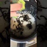 【ダイエット飯】鶏むね肉・ブロッコリーに食物繊維が豊富な塩きくらげを足してダイエットおにぎりを作ってみた