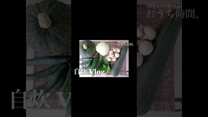 まとめ買いした野菜は冷凍保存が便利  #まとめ買い #節約料理 #時短レシピ #時短節約 #冷凍保存