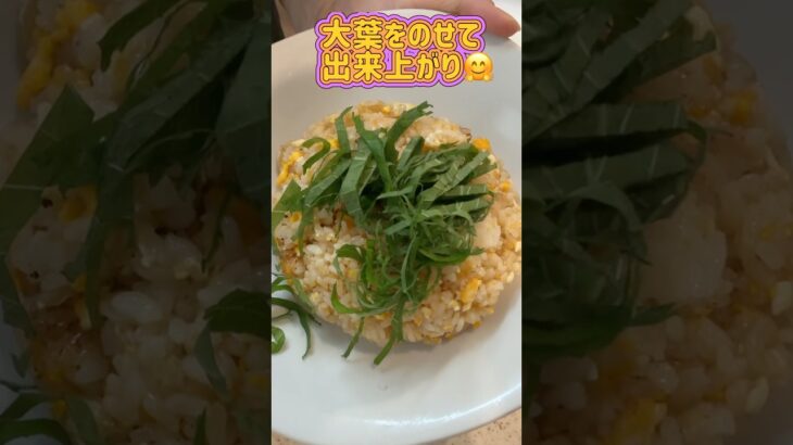【チャーハン】主婦の簡単お昼ご飯#簡単レシピ #ランチ #主婦のお昼ご飯#炒飯 #チャーハン#節約レシピ  #asmr #shorts