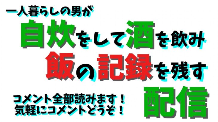 鶏もものトマト煮込み的なやつ