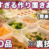 【作り置き全20品】裏ワザで保存力アップ！体に優しい1週間分の簡単作り置きと冷凍ストック20品【簡単レシピ】