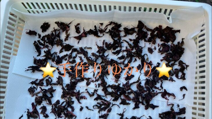 ⭐️手作りゆかり⭐️捨てたらもったいない❣️#時短簡単節約レシピ #梅しそ#ちひろやまの#ゆかり