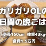 【食費月1.5万円】体重43kgのリアルな自炊vlog【節約自炊/低収入OL/手取り20万】