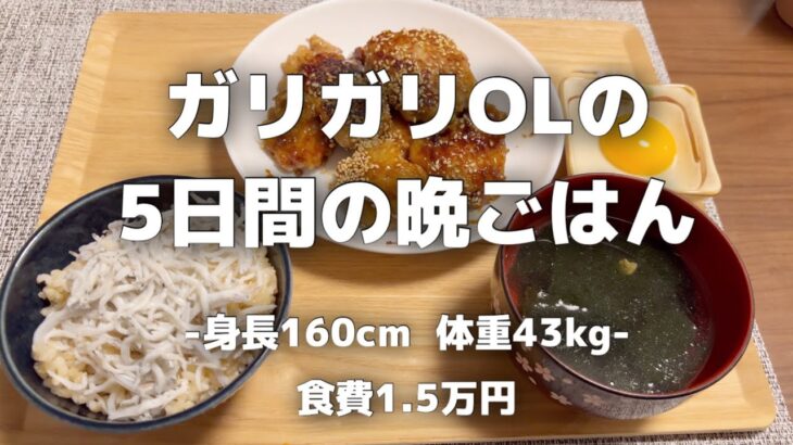 【食費月1.5万円】体重43kgのリアルな自炊vlog【節約自炊/低収入OL/手取り20万】
