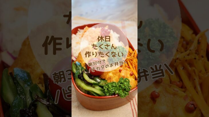 朝30分でワンパン弁当｜簡単ささみピカタ #時短レシピ #お弁当作り #30分弁当 #節約レシピ