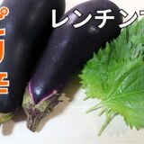 冷やしてもおいしい【簡単ナス&大葉レシピ】レンチンで完成！夏のおつまみ♪｜火を使わない・作り置き
