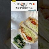 【サンドイッチ】ボリューム満点キャベツを入れたベーコントマト卵サンド#サンドイッチ #料理 #おうちごはん #自炊 #節約