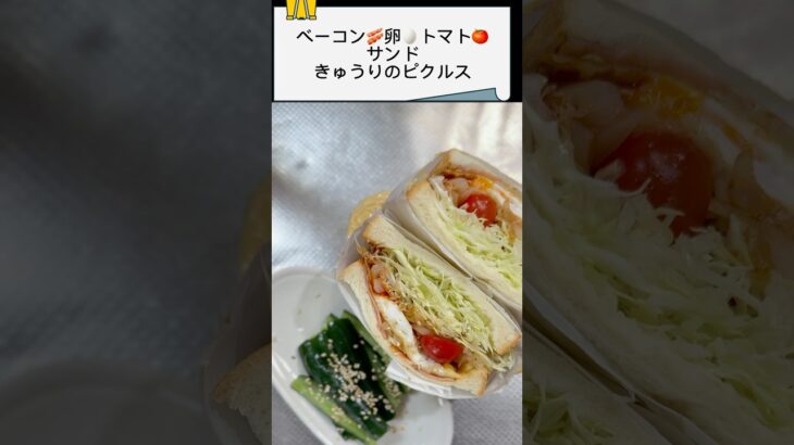 【サンドイッチ】ボリューム満点キャベツを入れたベーコントマト卵サンド#サンドイッチ #料理 #おうちごはん #自炊 #節約