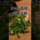 【夏野菜兄弟】世界観バグった爆走サルサ、冷蔵庫で反乱発生 #ズボラ飯 #簡単レシピ #ゆる薬膳