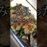 【レンチン会議は深夜に始まる】夏野菜兄弟のひそひそメシ #夜食なのに罪悪感ゼロ #夏野菜兄弟 #深夜メシ