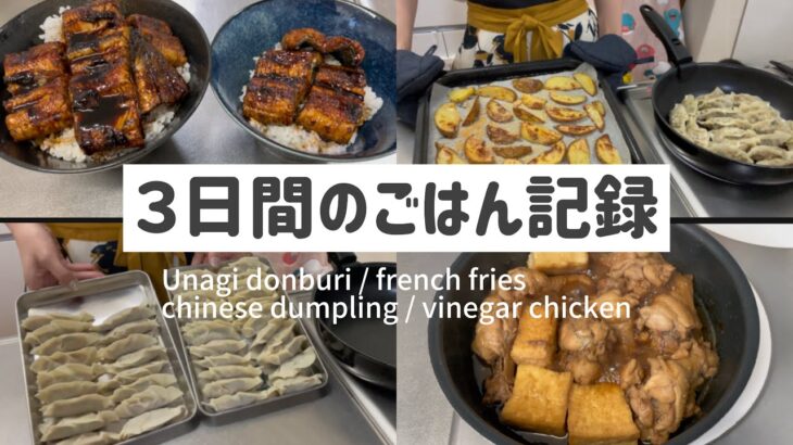 【主婦の日常】灼熱のキッチンで作る３日間のごはん記録/うな丼/ポテトフライ/ぎょうざ/手羽元の酸っぱ煮