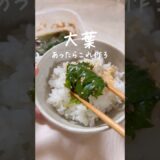 ごはん止まらん…50円おかず #簡単レシピ #時短レシピ #大葉