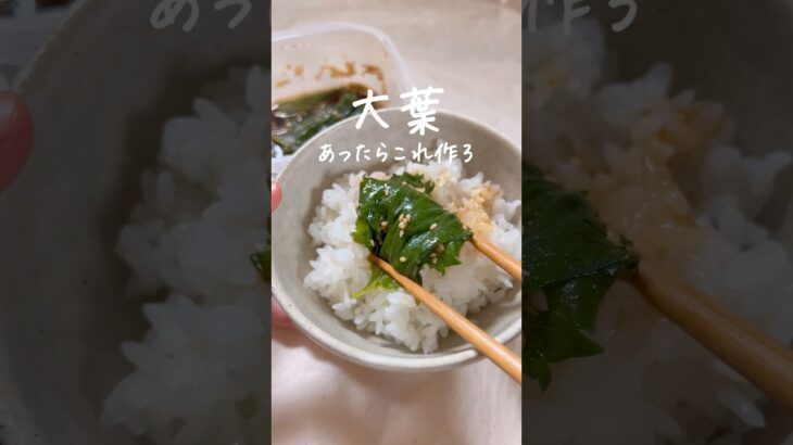 ごはん止まらん…50円おかず #簡単レシピ #時短レシピ #大葉