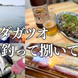 【ソウダガツオ釣り】釣って捌いて晩酌。最高のおうち居酒屋が完成