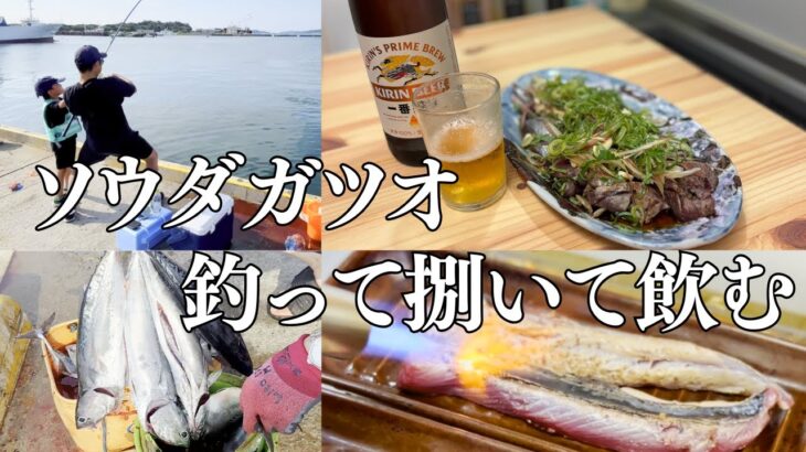 【ソウダガツオ釣り】釣って捌いて晩酌。最高のおうち居酒屋が完成