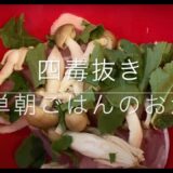 【ズボラ必見】レンジで豚を極める🍖✨レンチンぶた #料理 #四毒抜き #4毒抜き #よしりん #簡単レシピ #cooking #よしりん #トイプードル