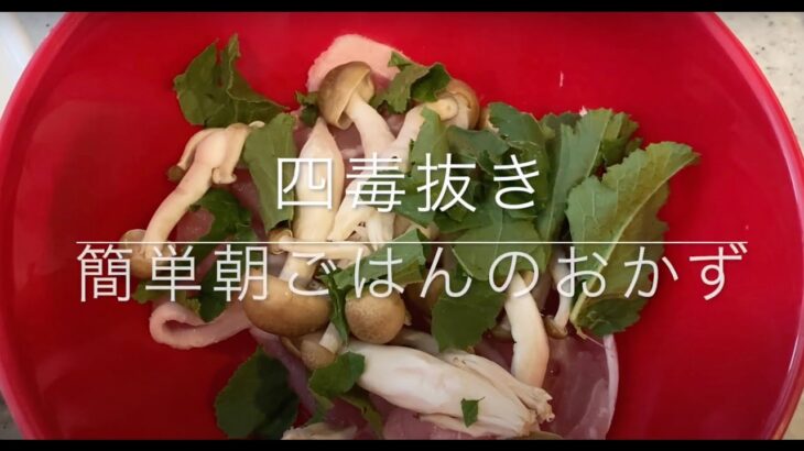 【ズボラ必見】レンジで豚を極める🍖✨レンチンぶた #料理 #四毒抜き #4毒抜き #よしりん #簡単レシピ #cooking #よしりん #トイプードル