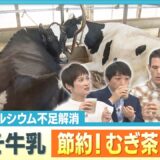 猛暑で牛も夏バテ？牛乳を“おいしく節約”裏技レシピ【ぎゅっと】2025年8月6日放送