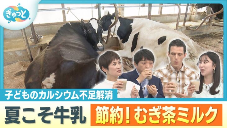猛暑で牛も夏バテ？牛乳を“おいしく節約”裏技レシピ【ぎゅっと】2025年8月6日放送