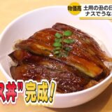 【節約レシピ】ナスでうな丼!?「うナス丼」