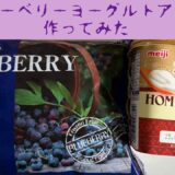 【ブルーベリーヨーグルトアイス作ってみた】混ぜて冷やしただけ/健康的/