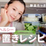 【作り置き】オンマ(母)直伝！ダイエット中におすすめな簡単ヘルシーレシピ11品👩‍🍳🧡 【おうちごはん】