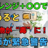 【知らずに続けると危険】 電子レンジで食べ物が“毒”に変わる！健康を静かに奪う朝の習慣とは ｜ 電子レンジ 健康影響  ｜  高齢者の健康