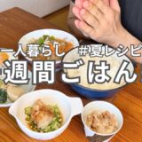 【四毒抜きレシピ】社畜9年目、26歳男の一週間献立とお弁当｜健康的な節約自炊生活｜ダイエットレシピ