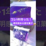 1年待った夏和菓子【東京グルメ金沢グルメ】透明感ある銀河輝く能登ブルーベリーのおやつ🫐レシピ✨#グルメ好き #japanesefood #japantravel