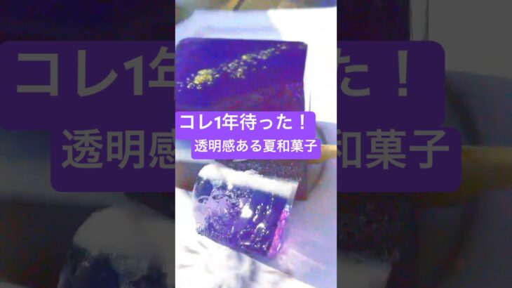 1年待った夏和菓子【東京グルメ金沢グルメ】透明感ある銀河輝く能登ブルーベリーのおやつ🫐レシピ✨#グルメ好き #japanesefood #japantravel