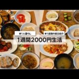 【料理Vlog】【1週間2000円生活】〜1人暮らしOLの30分で作る1週間の自炊記録〜