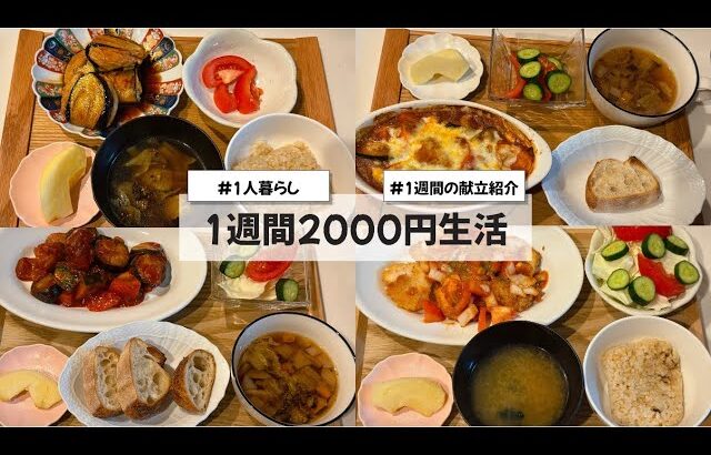 【料理Vlog】【1週間2000円生活】〜1人暮らしOLの30分で作る1週間の自炊記録〜