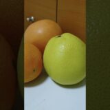 【語り】不眠に悩んでる方＋頭痛で悩んでる方へ🍊🍋🍊 🌊🌕🌌