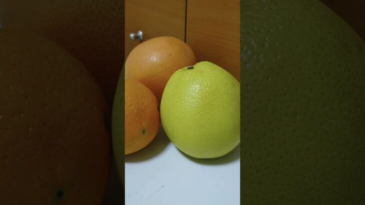 【語り】不眠に悩んでる方＋頭痛で悩んでる方へ🍊🍋🍊 🌊🌕🌌