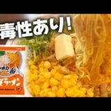 【最高傑作】サッポロ一番みそアレンジ!豚と野菜のエキスを爆発させ丼に魂込めました【ハマる旨さ】
